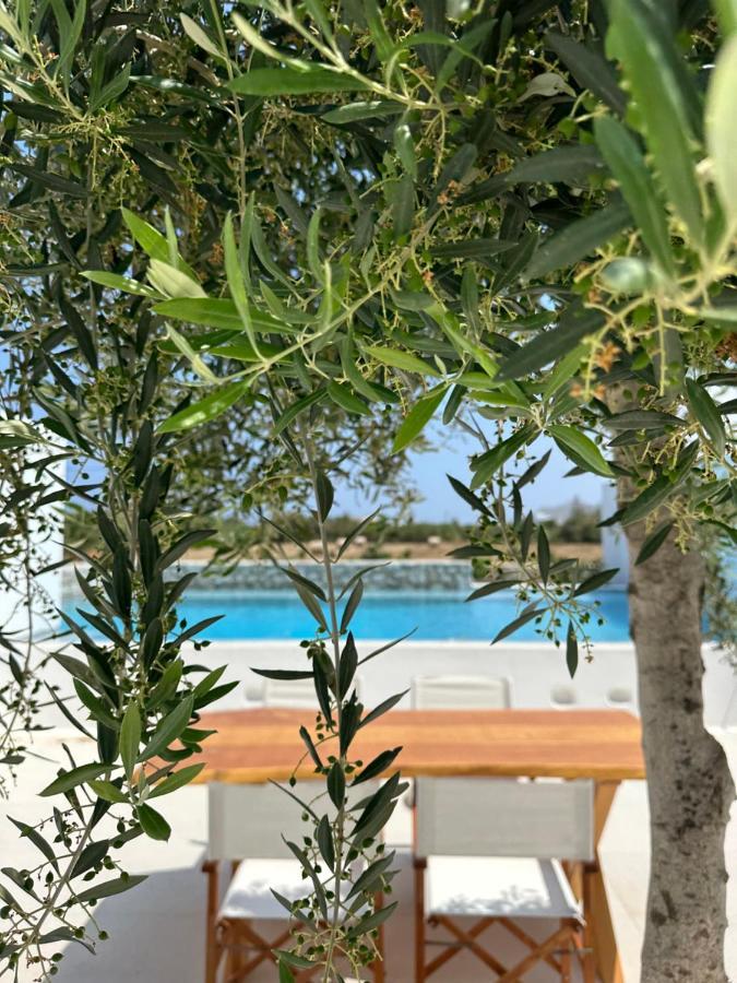 Alio Naxos Luxury Suites Agios Georgios  Exterior foto