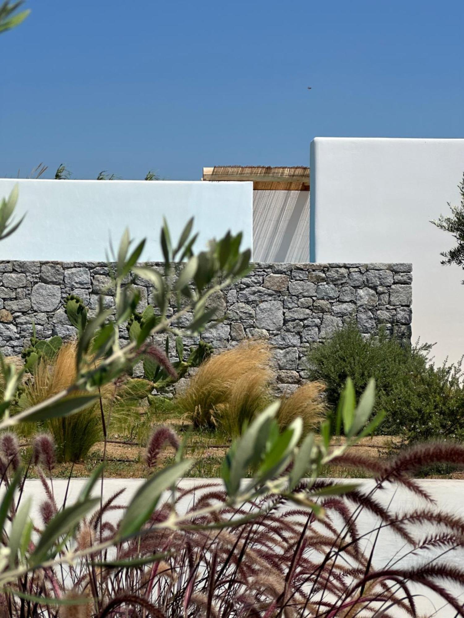 Alio Naxos Luxury Suites Agios Georgios  Exterior foto