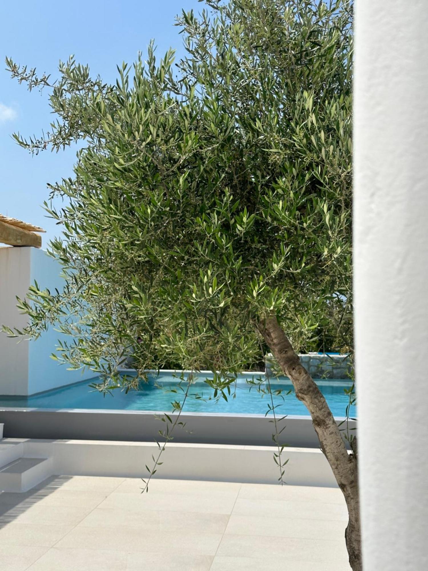 Alio Naxos Luxury Suites Agios Georgios  Exterior foto