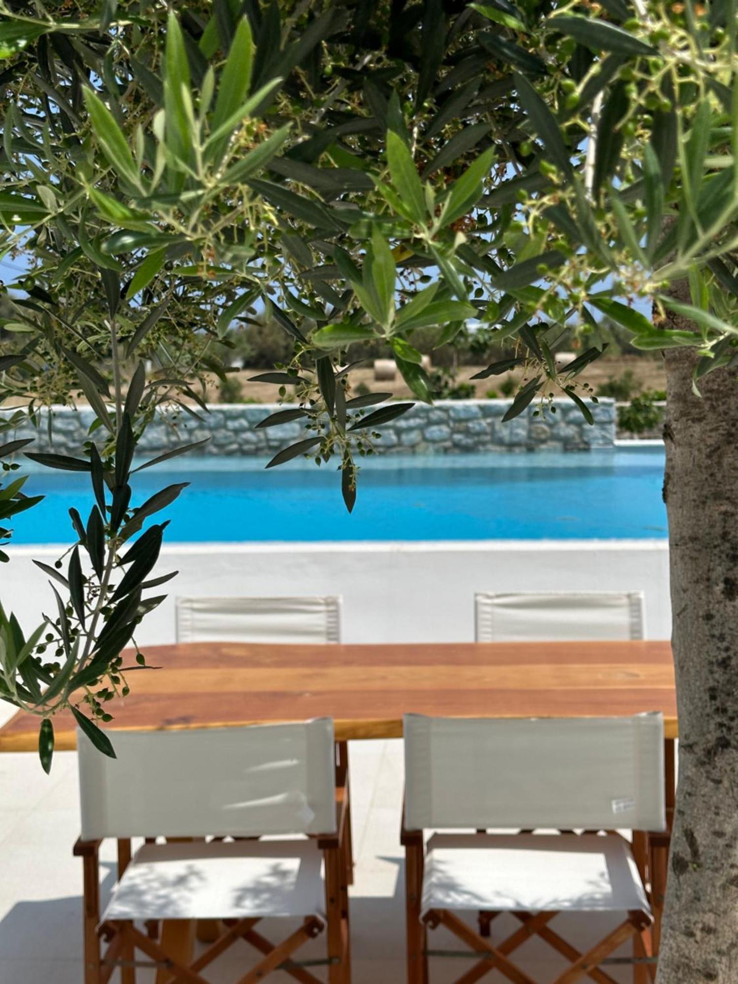 Alio Naxos Luxury Suites Agios Georgios  Exterior foto